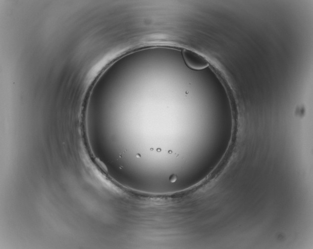 X0000111791333200907301136