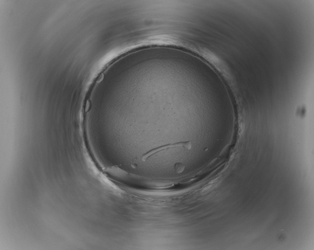 X0000111791334200907301136