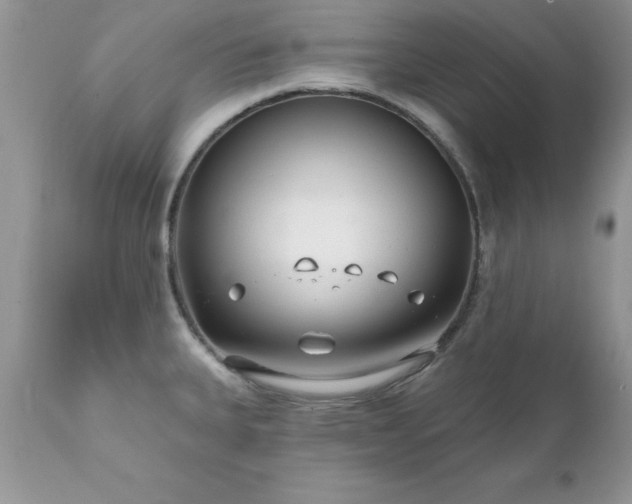 X0000111791335200907301136