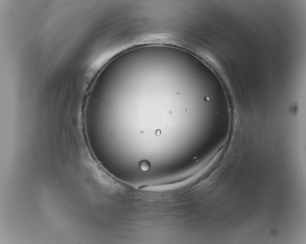 X0000111791336200907301136