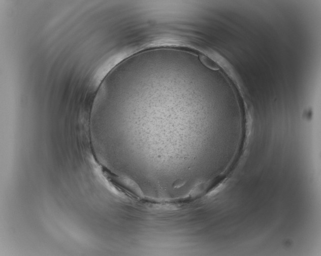 X0000111791337200907301136