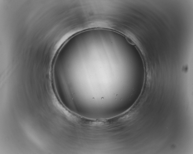 X0000111791339200907301136