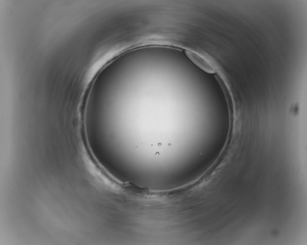 X0000111791341200907301136