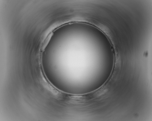 X0000111791342200907301136