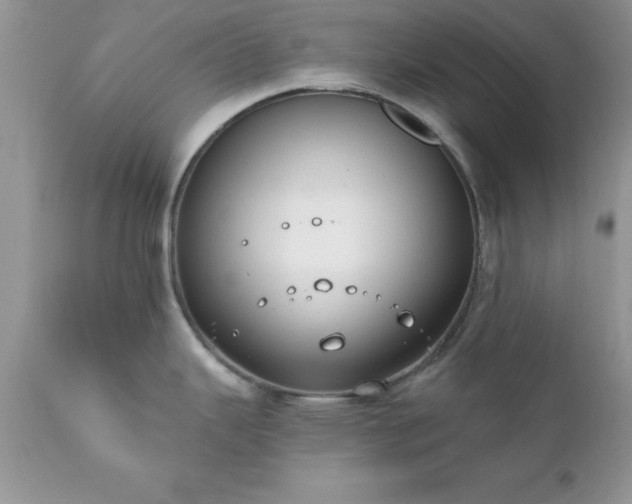 X0000111791343200907301136