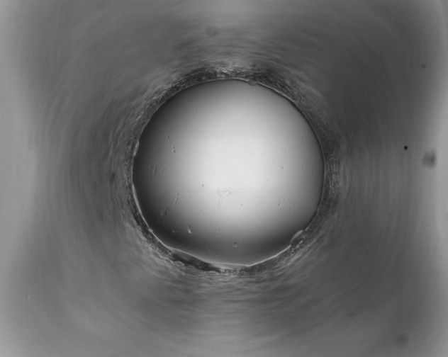 X0000111791345200907301135