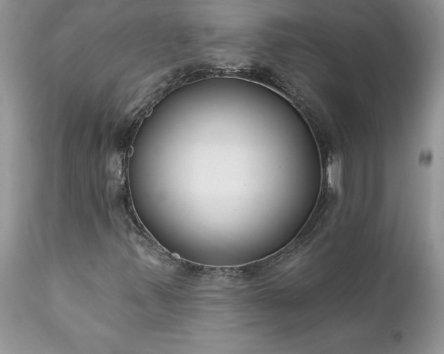 X0000111791347200907301135