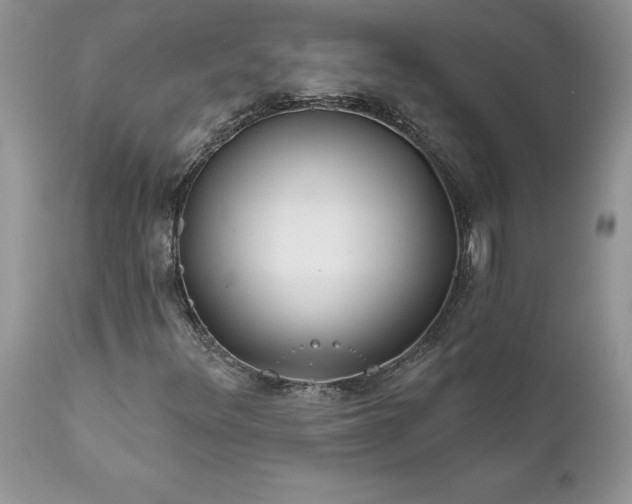 X0000111791348200907301135