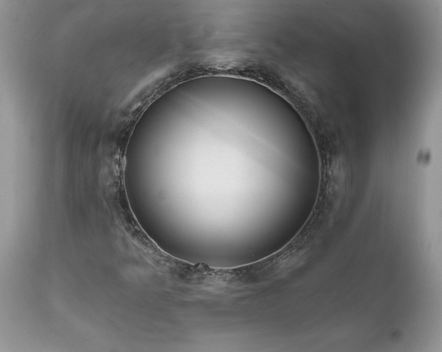 X0000111791349200907301135