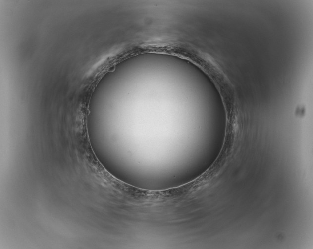 X0000111791350200907301135