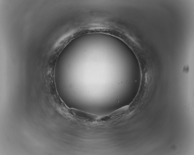 X0000111791351200907301135