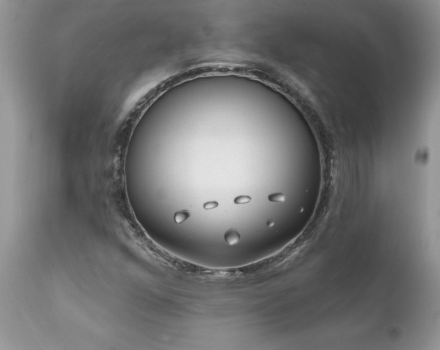 X0000111791352200907301135