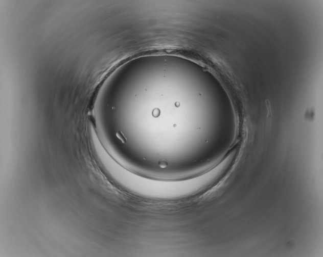 X0000111791353200907301135