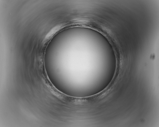 X0000111791354200907301135