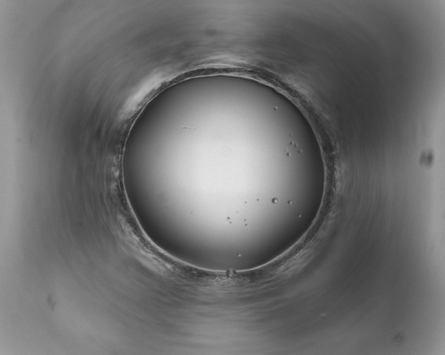 X0000111791355200907301135