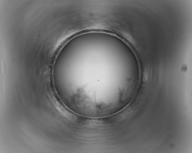 X0000111791356200907301135