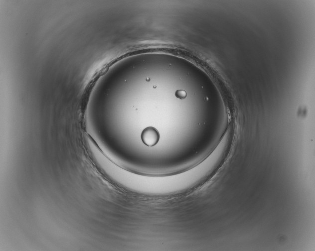 X0000111791357200907301135