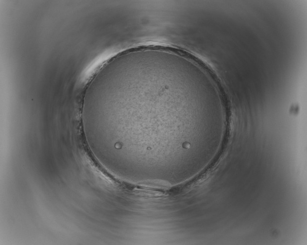 X0000111791359200907301135