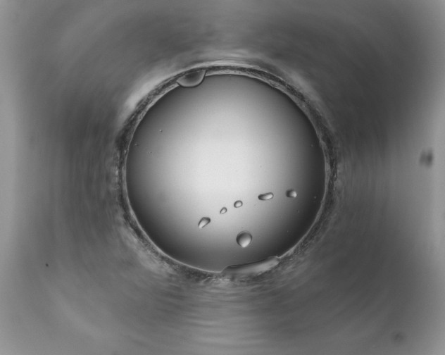 X0000111791360200907301135