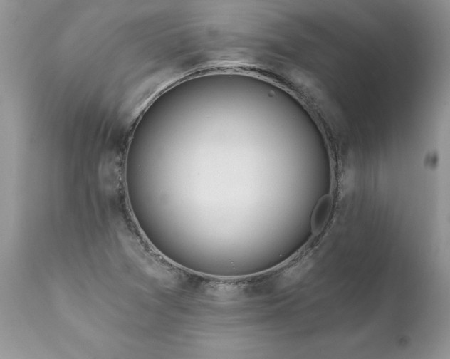 X0000111791361200907301135