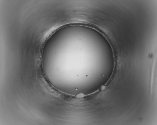 X0000111791363200907301135