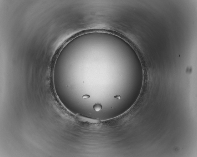 X0000111791364200907301135