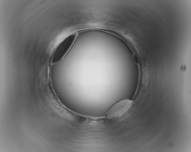 X0000111791365200907301135