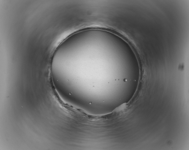 X0000111791367200907301135