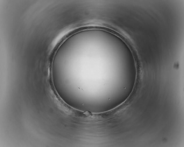 X0000111791368200907301135