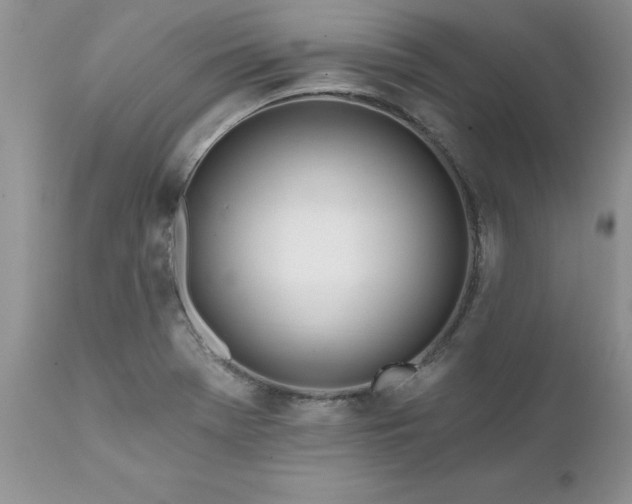 X0000111791369200907301135