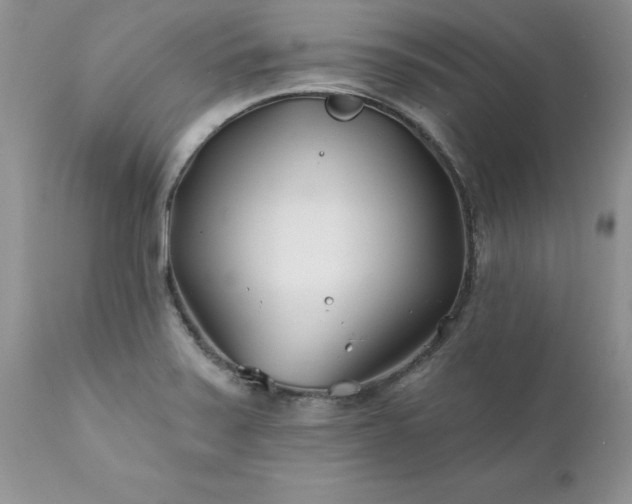 X0000111791371200907301135