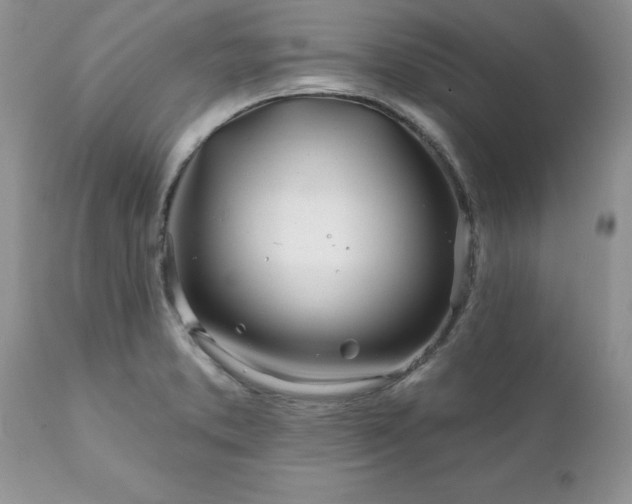 X0000111791373200907301135