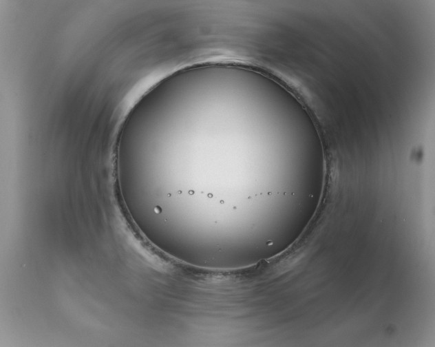 X0000111791375200907301135