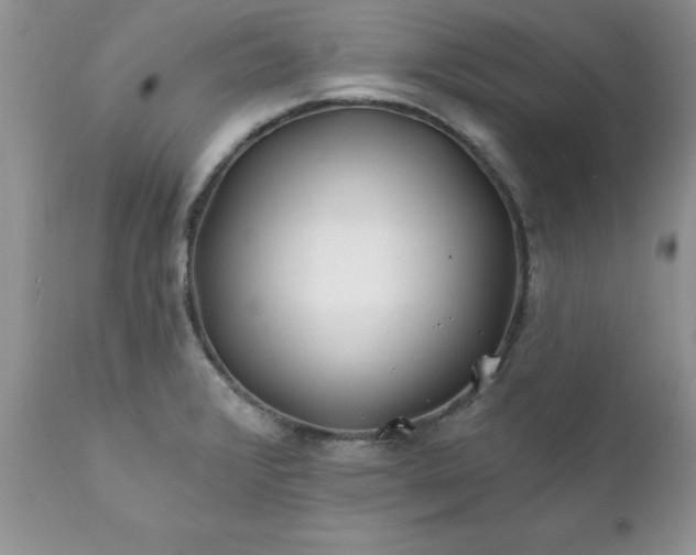 X0000111791376200907301135