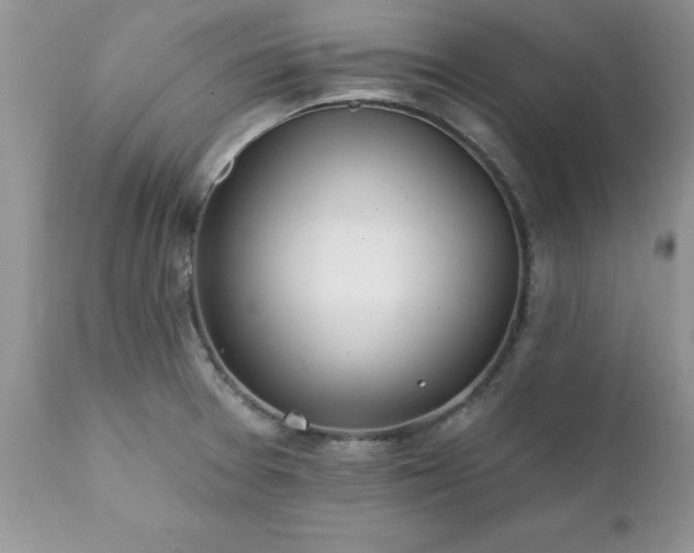 X0000111791377200907301135