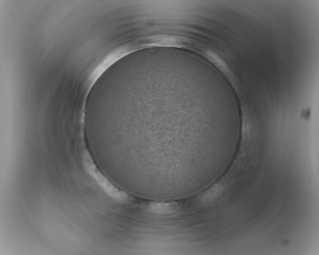 X0000111791378200907301135