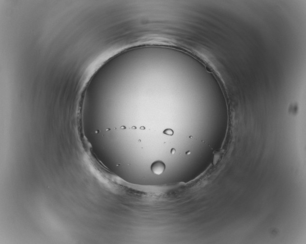 X0000111791379200907301135