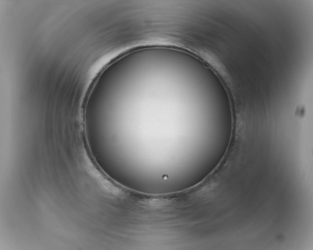 X0000111791380200907301135