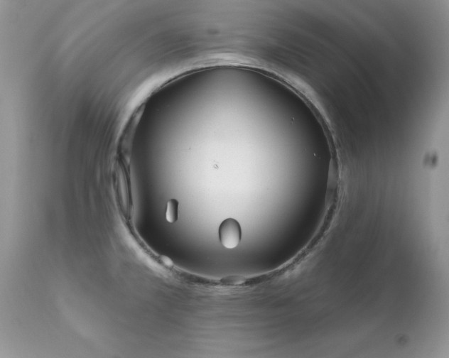 X0000111791381200907301135