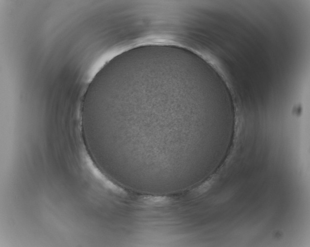 X0000111791382200907301135