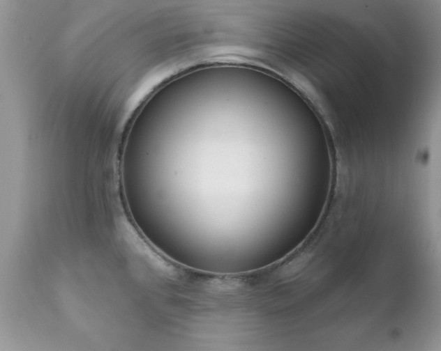 X0000111791384200907301135