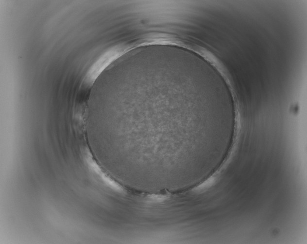 X0000111791385200907301135