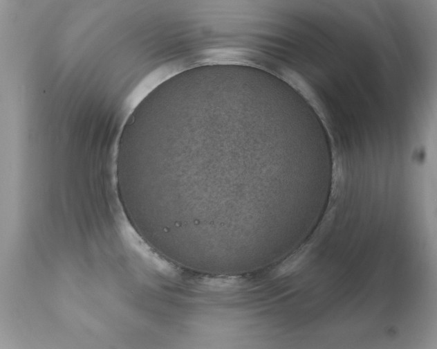 X0000111791386200907301135