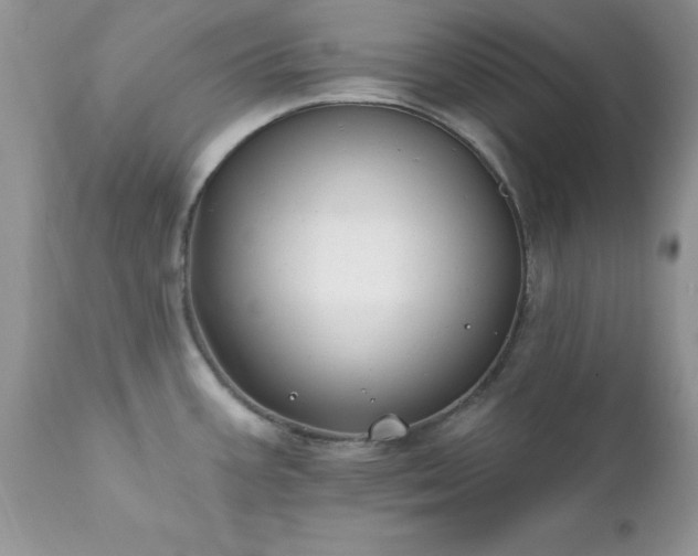 X0000111791387200907301135