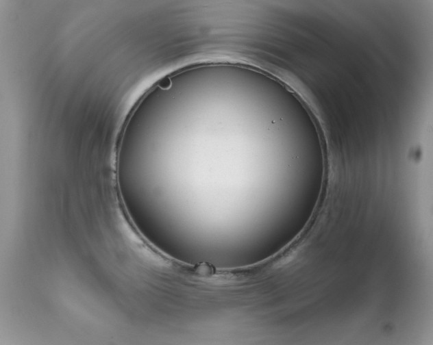 X0000111791388200907301135