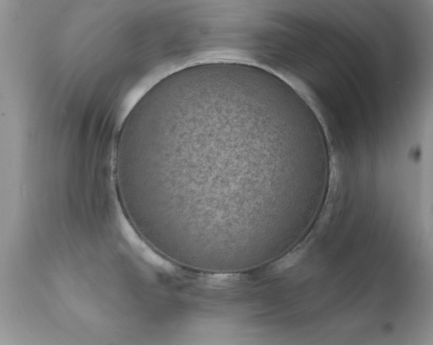 X0000111791390200907301135