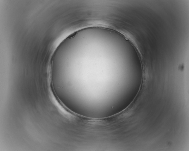 X0000111791391200907301135