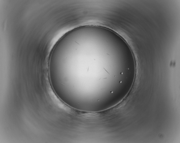 X0000111791392200907301135