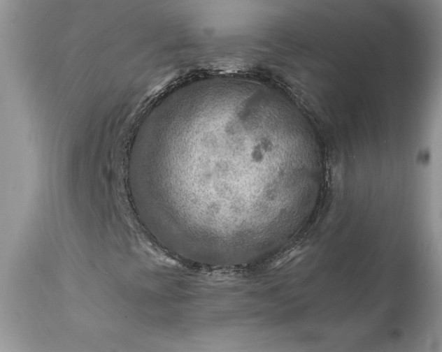 X0000111791393200907301134