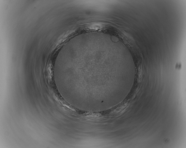 X0000111791394200907301134